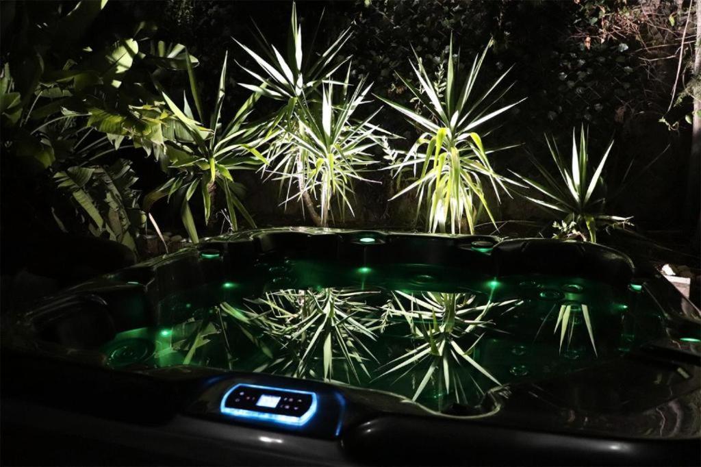 Luxury Jacuzzi Home & Terraces Málaga Exteriör bild