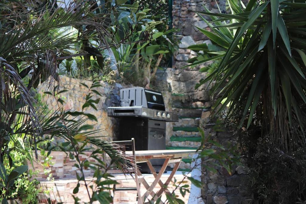 Luxury Jacuzzi Home & Terraces Málaga Exteriör bild